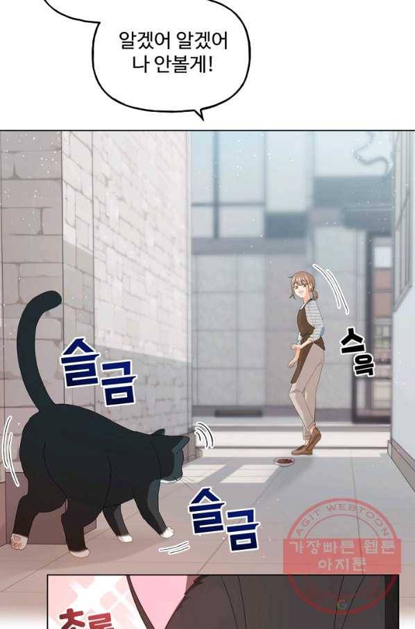 우리집 고양이는 베지테리언 수상한 탱고 59