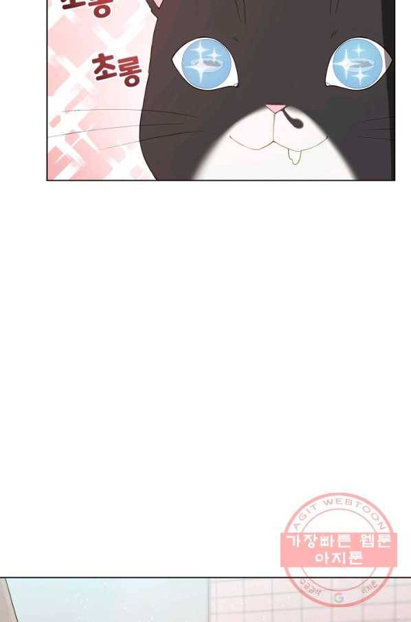 우리집 고양이는 베지테리언 수상한 탱고 60