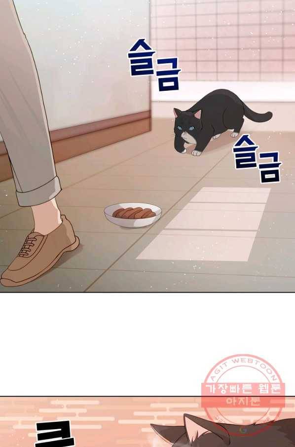 우리집 고양이는 베지테리언 수상한 탱고 61