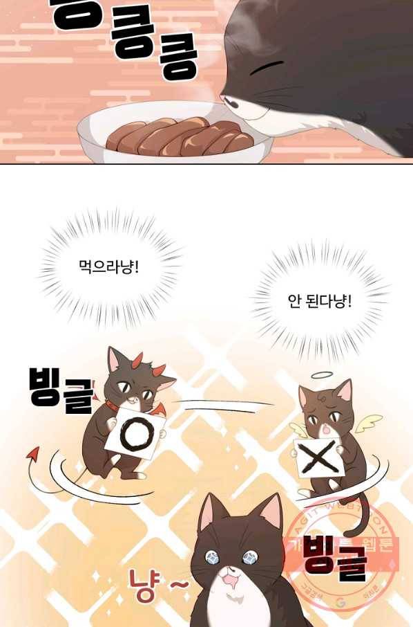 우리집 고양이는 베지테리언 수상한 탱고 62