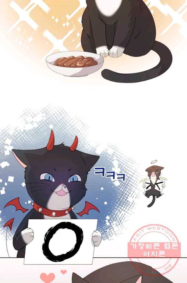 우리집 고양이는 베지테리언 수상한 탱고 63