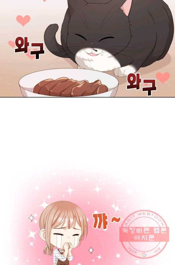 우리집 고양이는 베지테리언 수상한 탱고 64