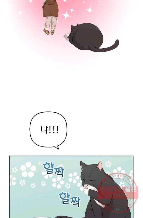 우리집 고양이는 베지테리언 수상한 탱고 65