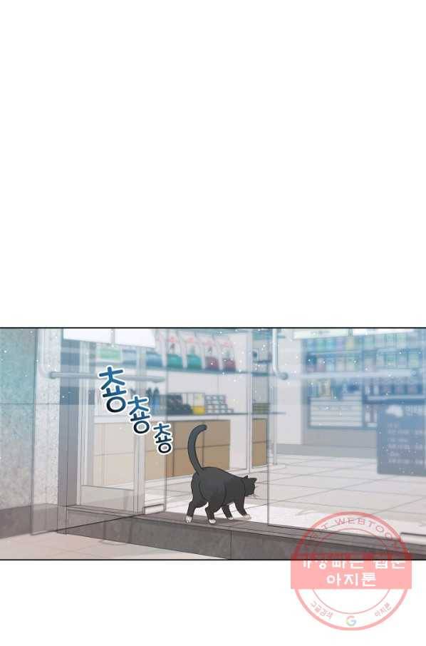 우리집 고양이는 베지테리언 수상한 탱고 67