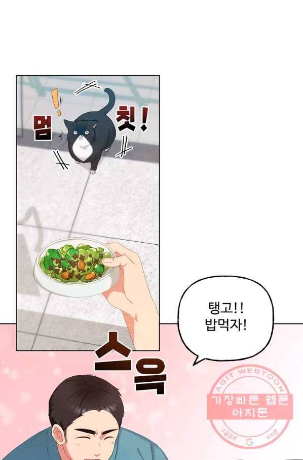 우리집 고양이는 베지테리언 수상한 탱고 68