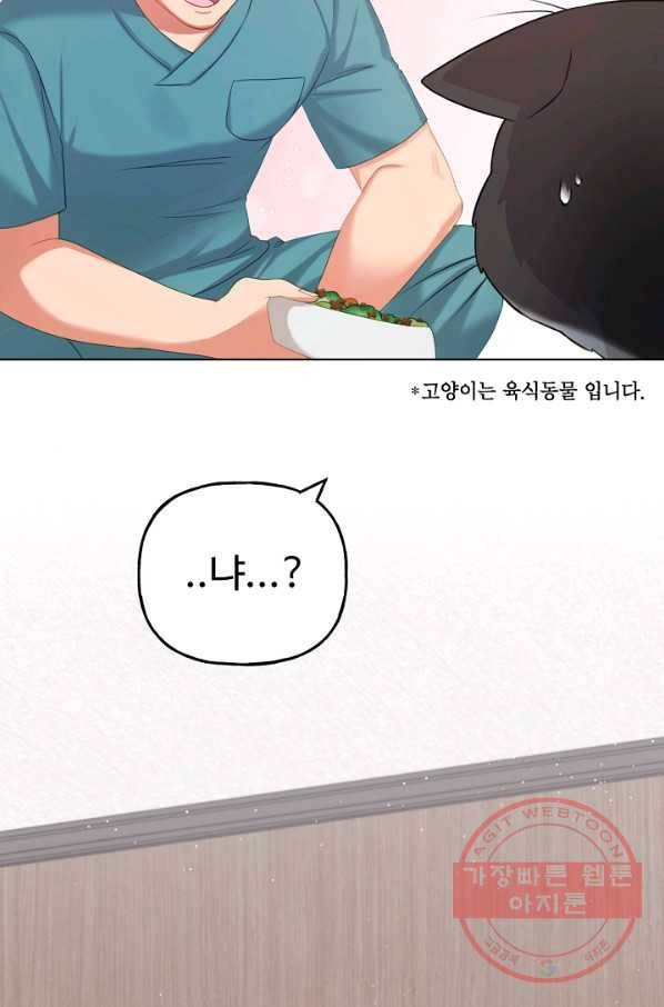 우리집 고양이는 베지테리언 수상한 탱고 69