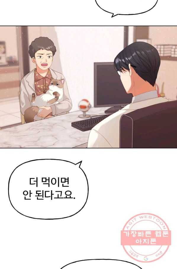 우리집 고양이는 베지테리언 수상한 탱고 72