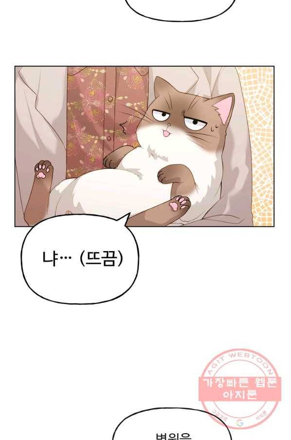 우리집 고양이는 베지테리언 수상한 탱고 78
