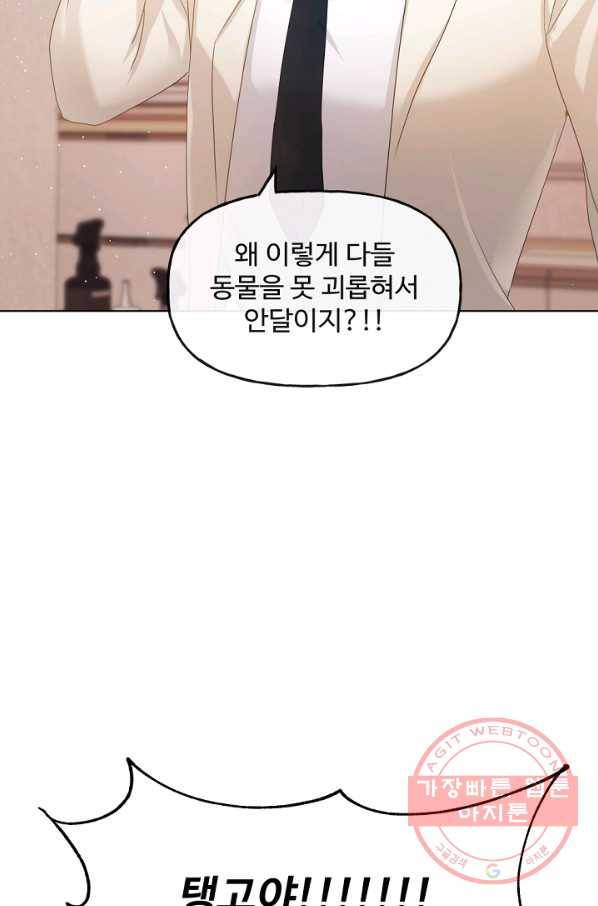 우리집 고양이는 베지테리언 수상한 탱고 85