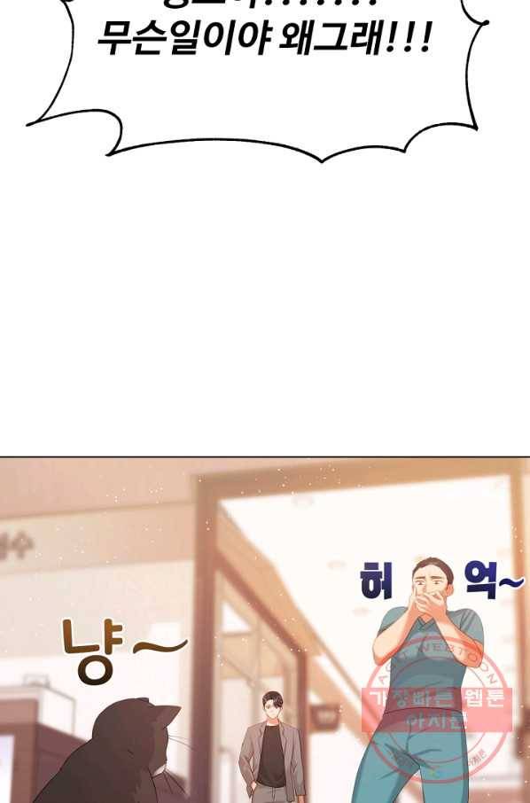 우리집 고양이는 베지테리언 수상한 탱고 86