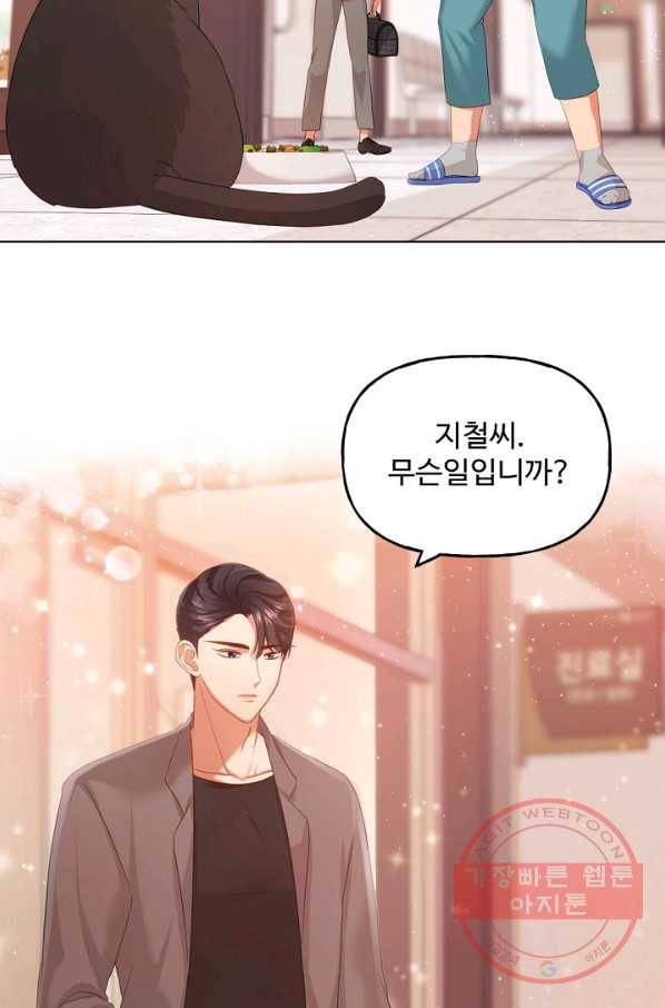 우리집 고양이는 베지테리언 수상한 탱고 87