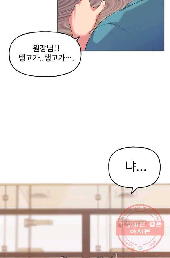 우리집 고양이는 베지테리언 수상한 탱고 89