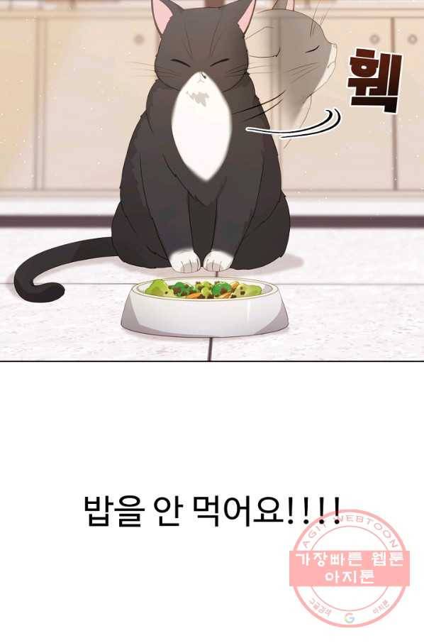우리집 고양이는 베지테리언 수상한 탱고 90