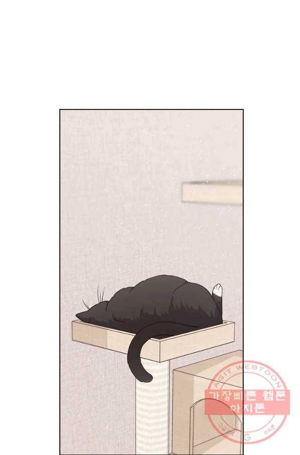 우리집 고양이는 베지테리언 수상한 탱고 93