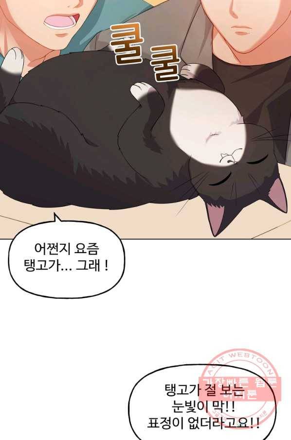 우리집 고양이는 베지테리언 수상한 탱고 95