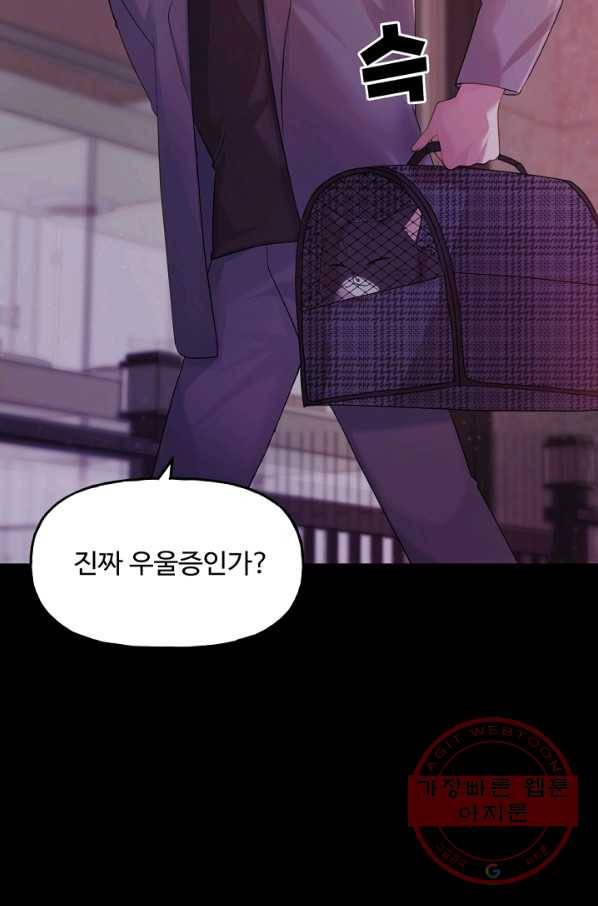 우리집 고양이는 베지테리언 수상한 탱고 101