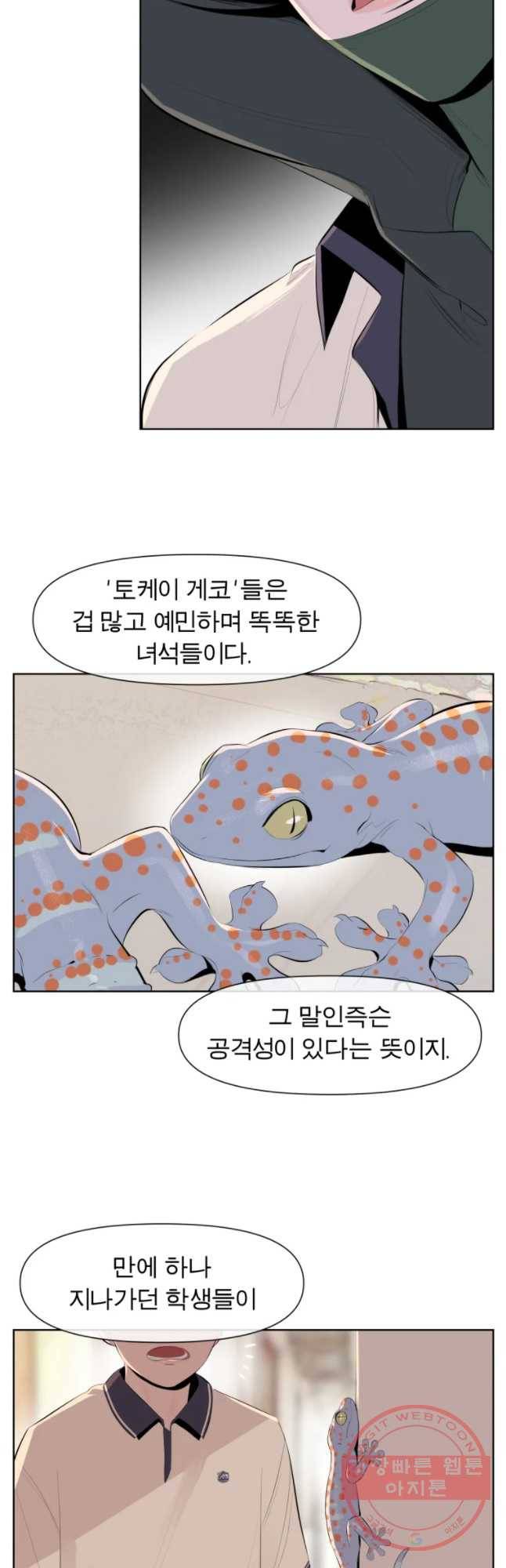케어시트 5화 동경 5
