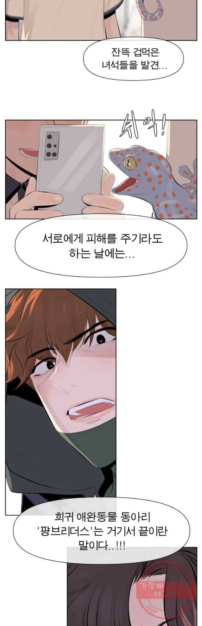 케어시트 5화 동경 6