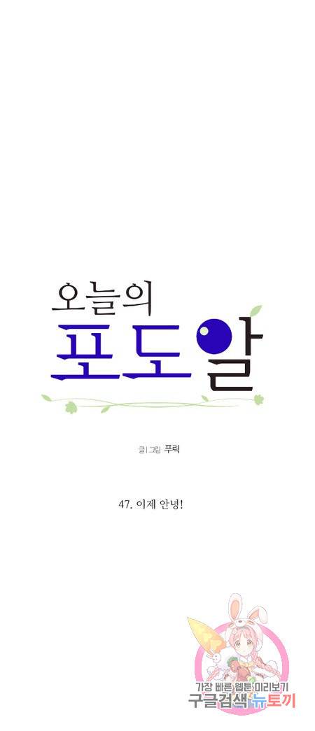 오늘의 포도알 47화 2