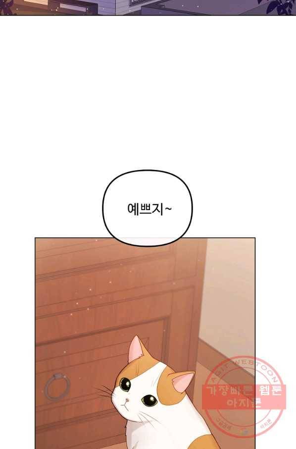 우리집 고양이는 베지테리언 참견하지 마세요 2