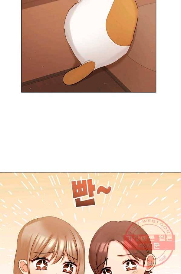 우리집 고양이는 베지테리언 참견하지 마세요 3