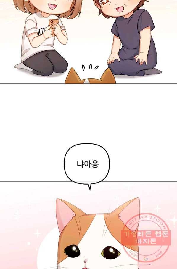 우리집 고양이는 베지테리언 참견하지 마세요 4