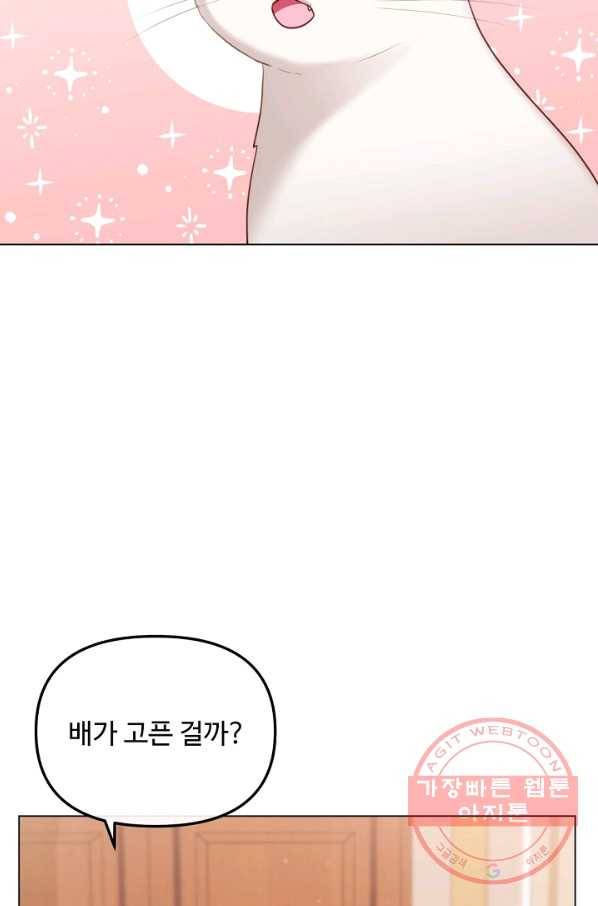 우리집 고양이는 베지테리언 참견하지 마세요 5