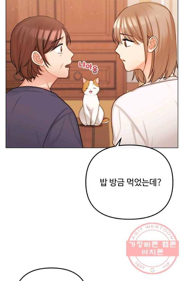 우리집 고양이는 베지테리언 참견하지 마세요 6