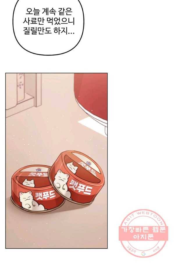 우리집 고양이는 베지테리언 참견하지 마세요 7