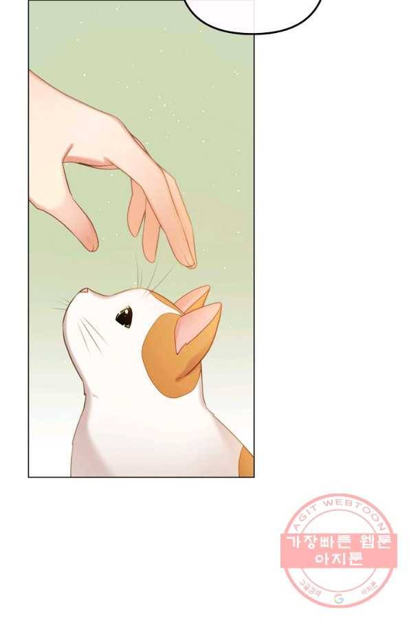 우리집 고양이는 베지테리언 참견하지 마세요 12