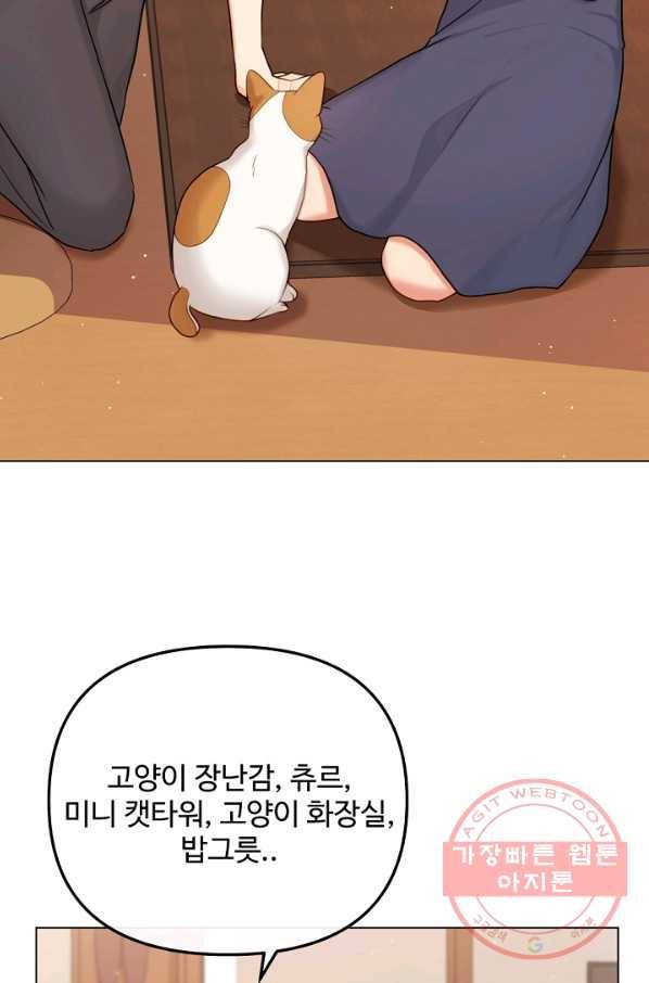 우리집 고양이는 베지테리언 참견하지 마세요 14