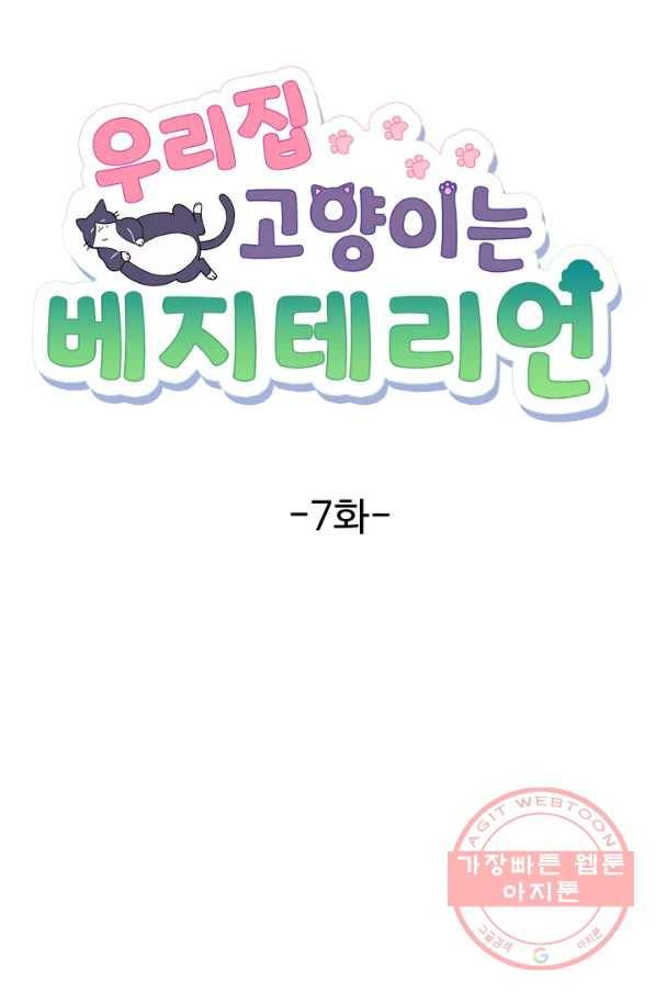 우리집 고양이는 베지테리언 참견하지 마세요 22