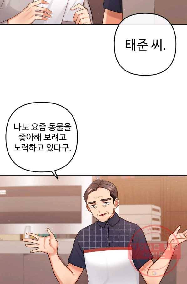 우리집 고양이는 베지테리언 참견하지 마세요 31