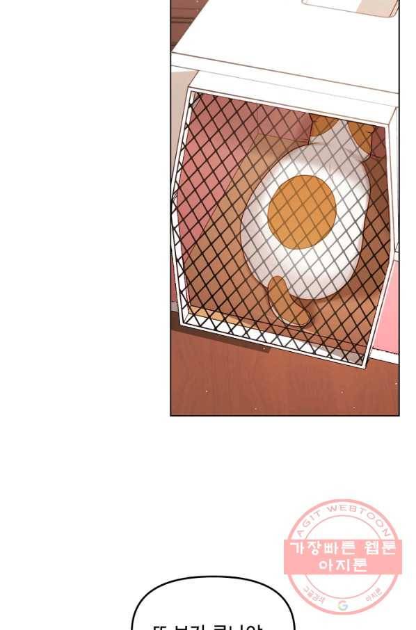 우리집 고양이는 베지테리언 참견하지 마세요 44