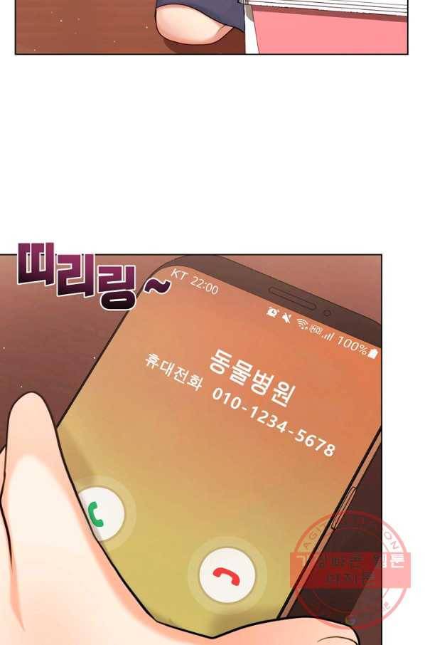 우리집 고양이는 베지테리언 참견하지 마세요 46