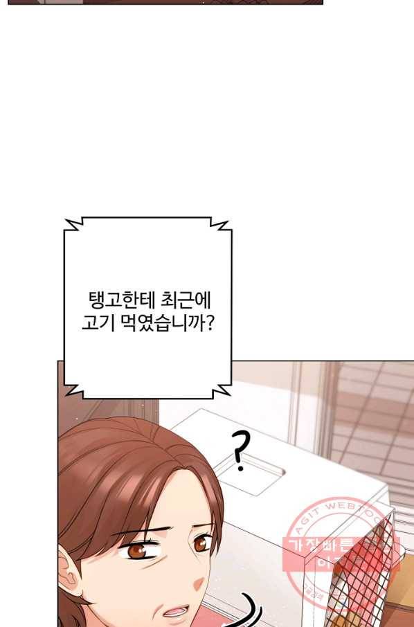우리집 고양이는 베지테리언 참견하지 마세요 51