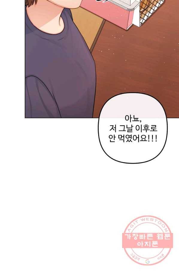 우리집 고양이는 베지테리언 참견하지 마세요 52