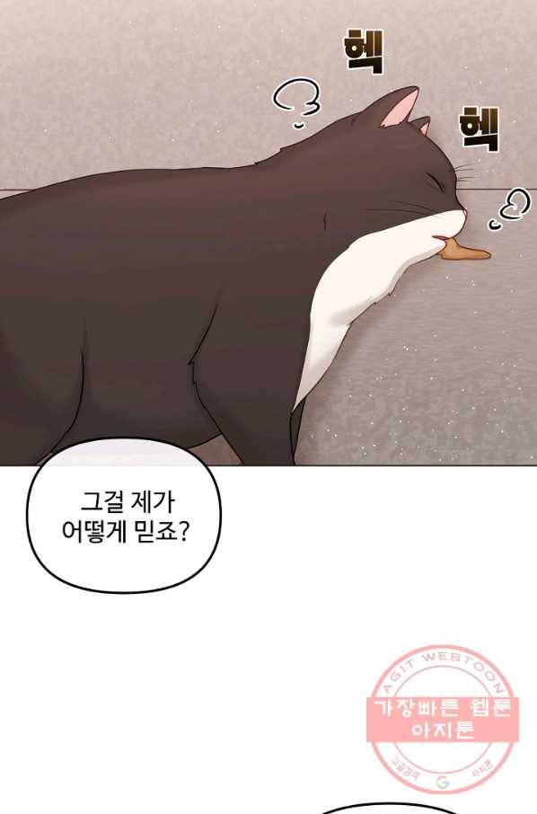 우리집 고양이는 베지테리언 참견하지 마세요 54