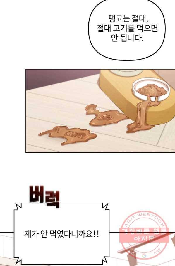 우리집 고양이는 베지테리언 참견하지 마세요 55