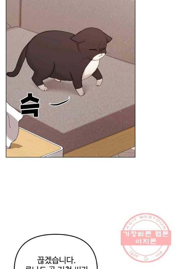 우리집 고양이는 베지테리언 참견하지 마세요 59