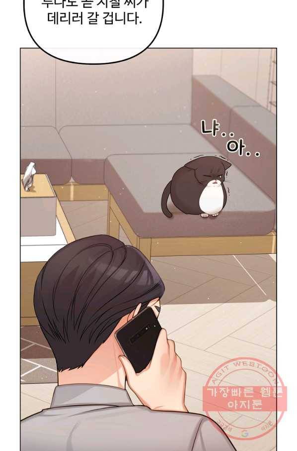 우리집 고양이는 베지테리언 참견하지 마세요 60