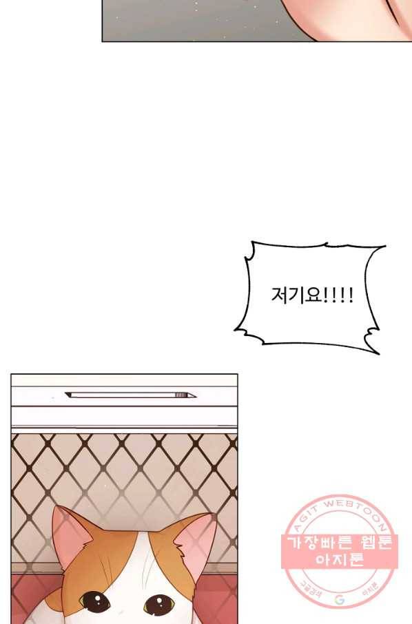 우리집 고양이는 베지테리언 참견하지 마세요 62