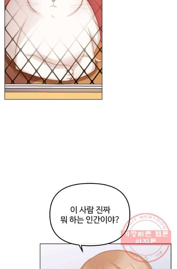 우리집 고양이는 베지테리언 참견하지 마세요 63