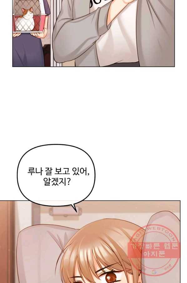 우리집 고양이는 베지테리언 참견하지 마세요 67