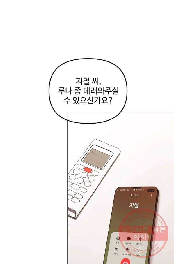 우리집 고양이는 베지테리언 참견하지 마세요 71