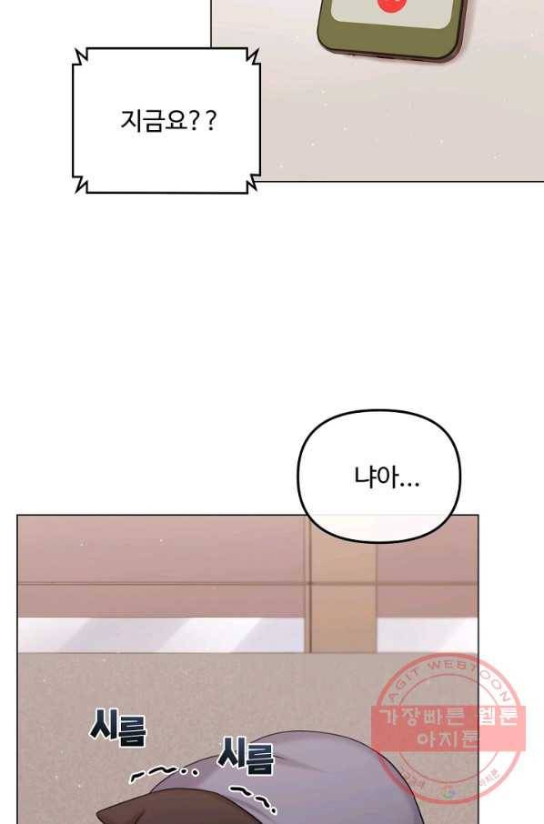 우리집 고양이는 베지테리언 참견하지 마세요 72