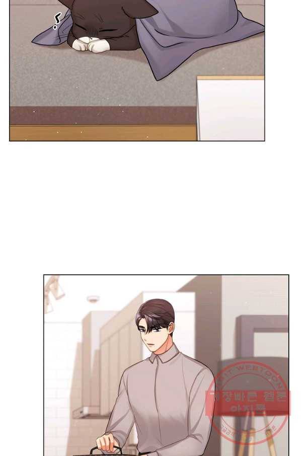 우리집 고양이는 베지테리언 참견하지 마세요 73