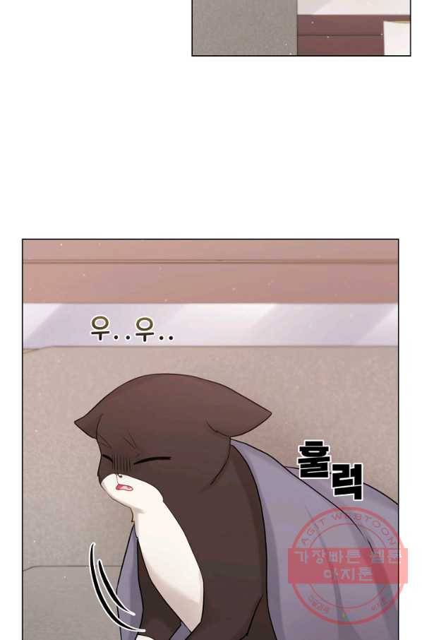 우리집 고양이는 베지테리언 참견하지 마세요 76