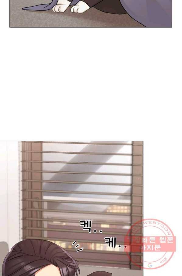 우리집 고양이는 베지테리언 참견하지 마세요 77
