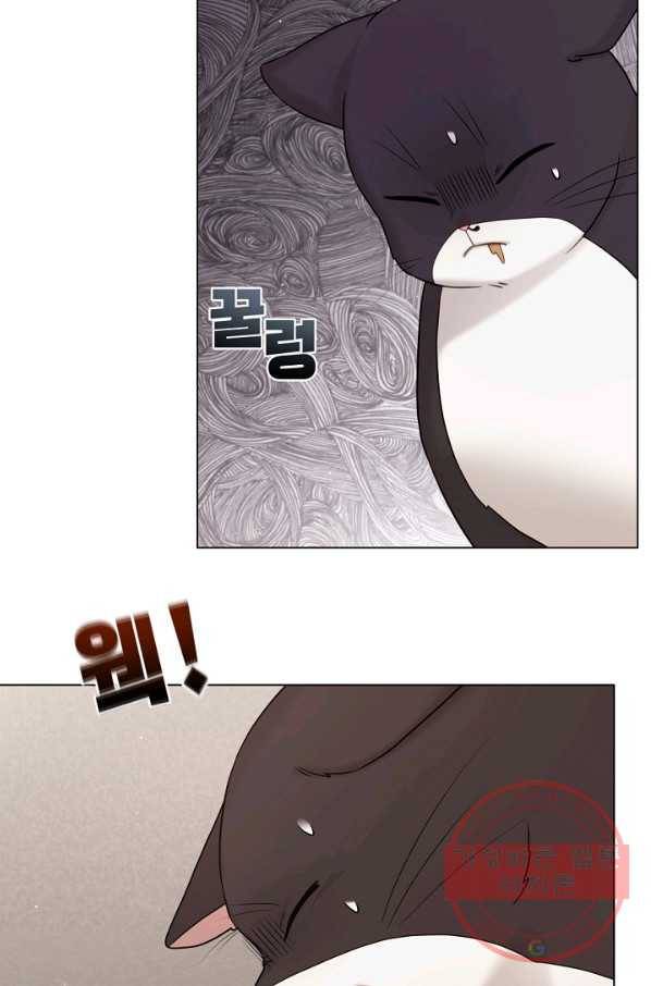 우리집 고양이는 베지테리언 참견하지 마세요 80